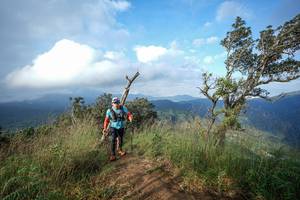 BIB: 
                            <button type="button" onclick="openModal(22373604)" class="btn btn-primary btn-sm float-right btn-popup" data-toggle="modal" data-target=".modal-high-quality">
                        <i class="fas fa-shopping-cart"></i> Add to Cart
                    </button>
                                            <button type="button" onclick="isThisMe(22373604, true)" class="btn btn-success btn-sm float-right btn-popup btn-isme hidden" data-toggle="tooltip" data-placement="bottom" title="นี่คือรูปของคุณใช่ไหม คลิกที่นี่เพื่อเอาเข้าอัลบั้ม">
                        <i class="fas fa-plus"></i> Add to album
                    </button>
                    <button type="button" onclick="isThisMe(22373604, false)" class="btn btn-warning btn-sm float-right btn-popup btn-isnotme hidden">
                        <i class="fas fa-ban"></i> Remove from album
                    </button>